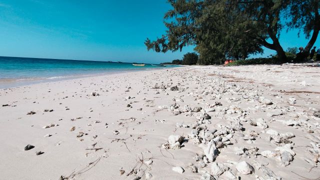 Beachfront Land with Pink Sand & Turquoise Water – Purukambera Beach, East Sumba - Image 3