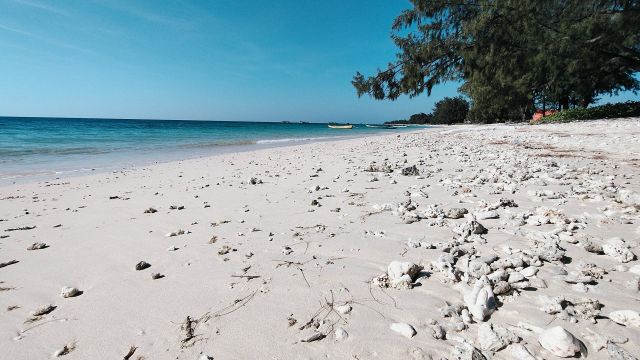 Beachfront Land with Pink Sand & Turquoise Water – Purukambera Beach, East Sumba - Image 7