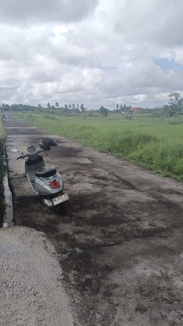 PROMO GALUNGAN: Strategic Green Zone Rice Field View Land Near Tanah Lot – Pacung Kediri Tabanan - Image 4