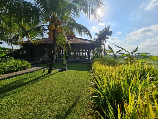 4-Pavilion Joglo Compound with Infinity Pool & Rice Field View – Nyanyi Beach, Tabanan - Image 9