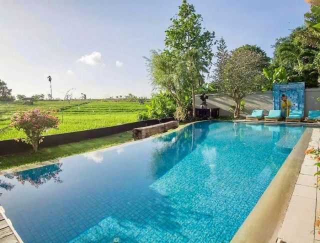 Luxury Freehold Villa 6 Bedrooms with Rice Field View in Tandeg, Canggu, Bali - Image 2