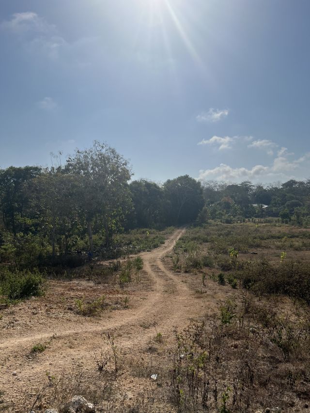 Large Residential Zone Land 97 Are (9,700 m²) for Sale Near Pandawa Beach, Bali - Image 2
