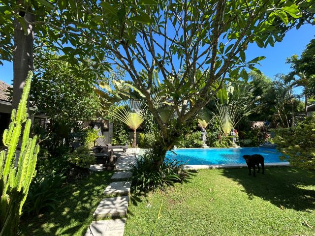 Freehold 5-Bedroom Villa in Prime Umalas – Recently Renovated - Image 22