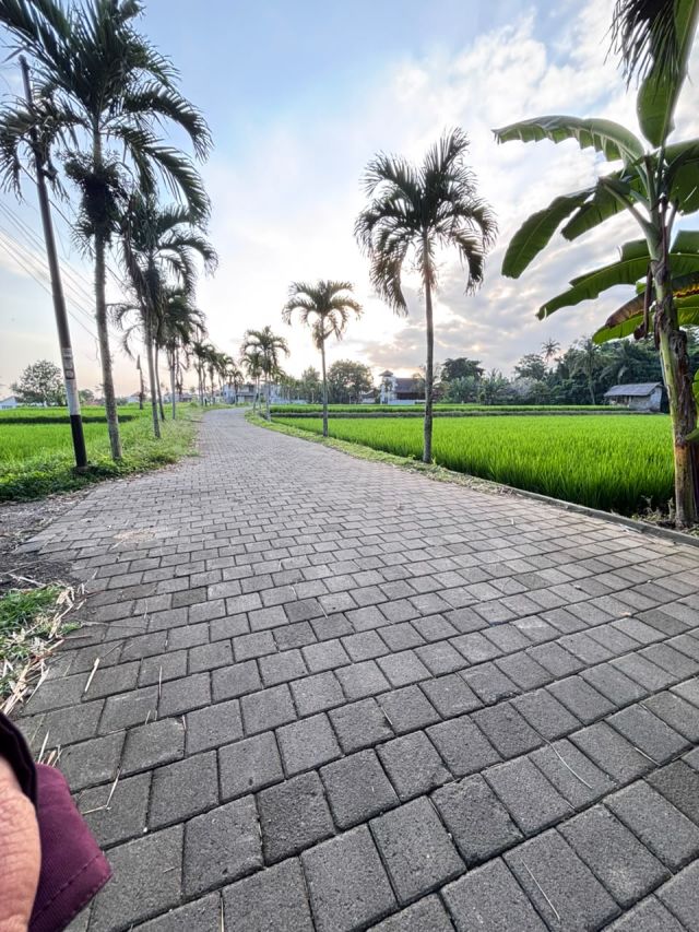 2,870 m² Land for Sale in Kemenuh, Near Ubud – Villa Zone - Image 9