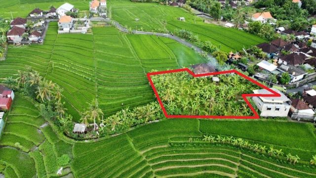 1100 m² Freehold Land in Tumbak Bayuh, Pererenan – Rice Terrace View - Image 7