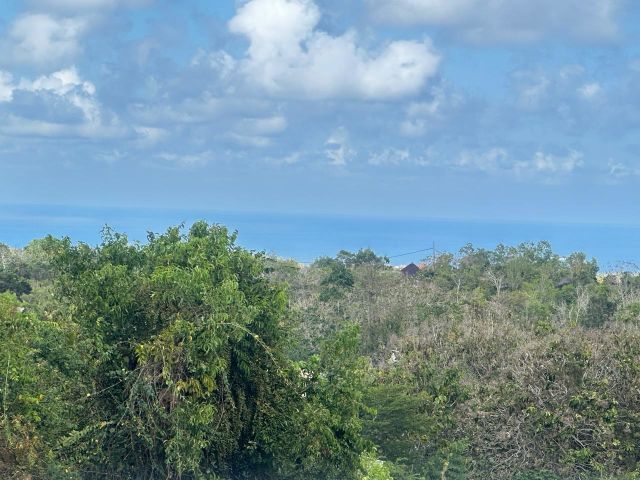 Brand New Tropical Minimalist Modern Luxury Villa in Ungasan - Image 3
