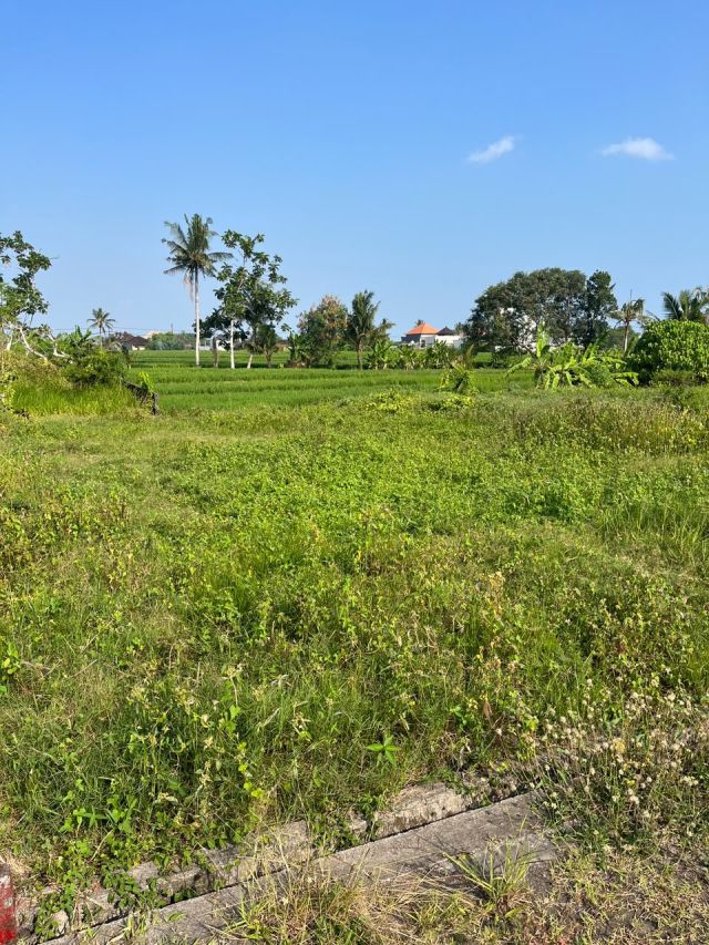 250 m² Land for Sale Near Pantai Kedungu - Image 7
