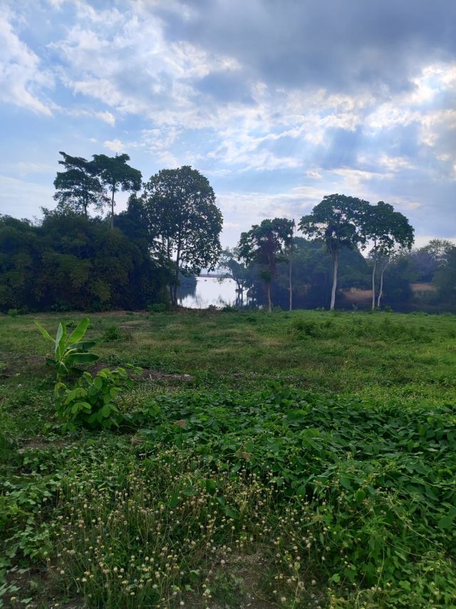 1 Hectare Freehold Land for Sale in Cemagi, Near the Beach (CAB075) - Image 6