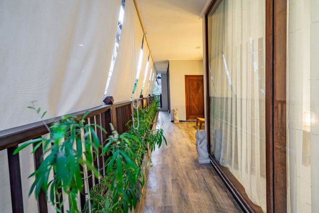 Luxury 3-Bedroom Villa in Canggu Munduk Catu, 300m from the Beach – For Sale & Lease - Image 3