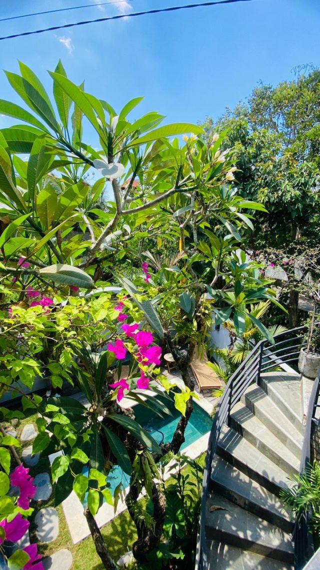 Fully Furnished Villa in Pandak, Tabanan, Bali - Image 12