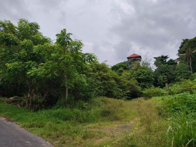 Premium Beachfront Land Near Keramas Beach, Gianyar, Bali - Image 4