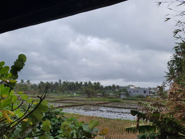 Premium Beachfront Land Near Keramas Beach, Gianyar, Bali - Image 5