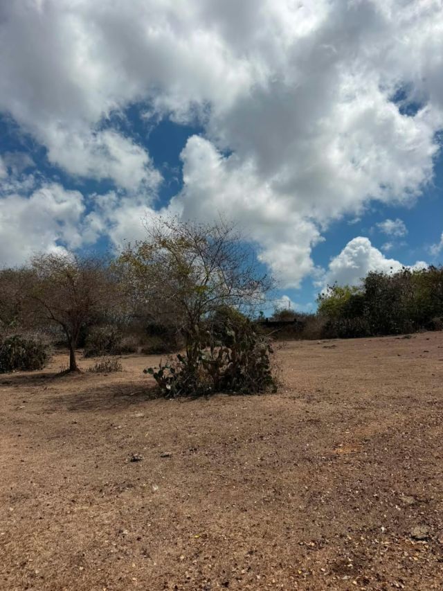 Land for Sale in Gayang Sari, Kutuh, Bali — Below Market Price - Image 12
