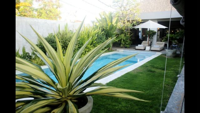 Freehold Villa on Main Road in Berawa, Canggu, Bali - Image 2