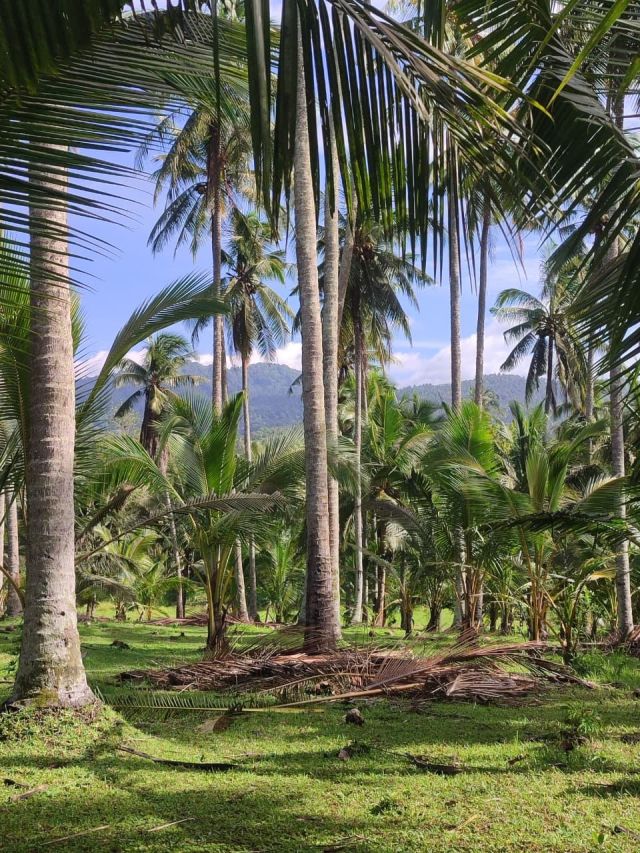 16-Are Tourism Zone Land near Balian Beach, Tabanan, Bali - Image 7