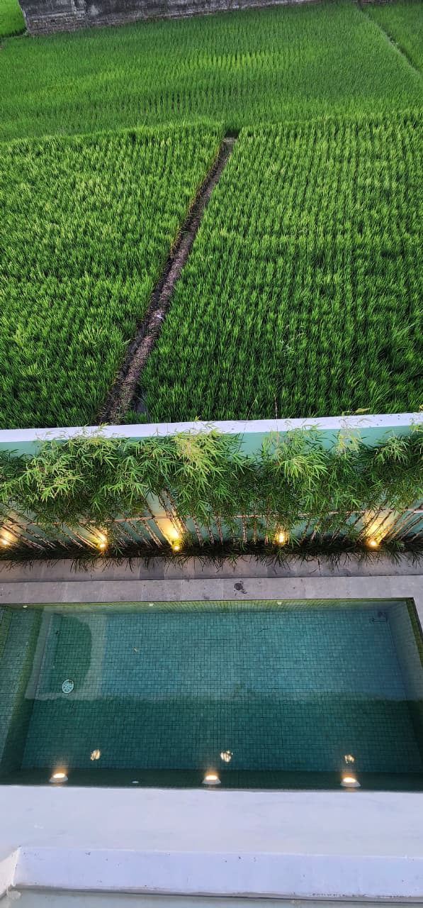 Brand New 3-Bedroom Villa with Rice Field & Sunset View in Kelating, Tabanan - Image 6