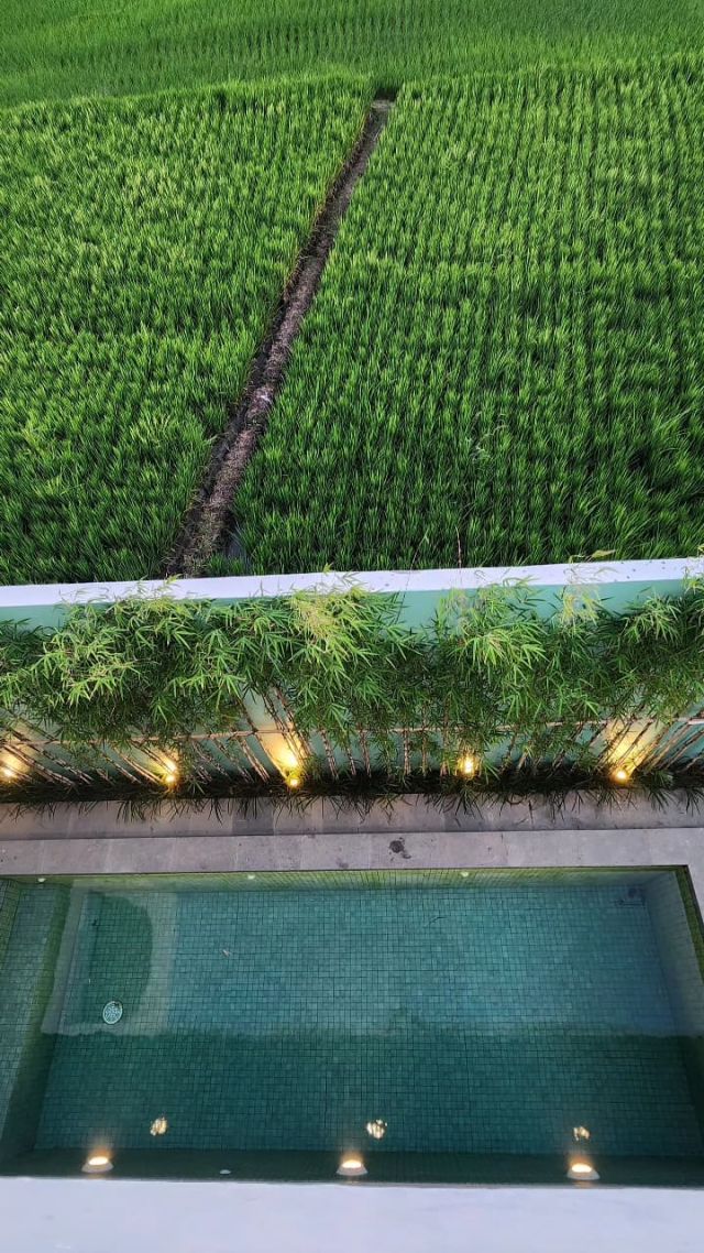 Brand New 3-Bedroom Villa with Rice Field & Sunset View in Kelating, Tabanan - Image 9