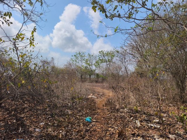Exclusive 60-Are Freehold Land Near Balangan Beach, Bali - Image 5