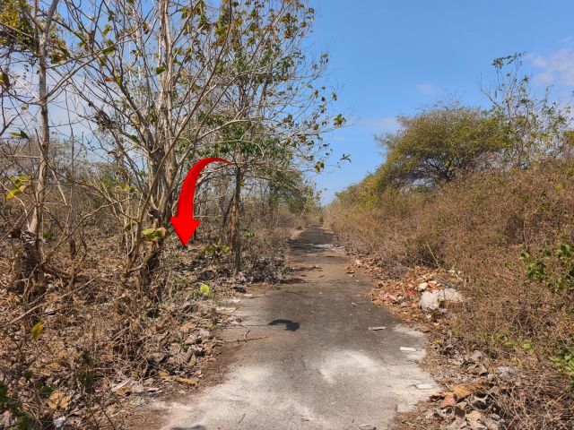 Exclusive 60-Are Freehold Land Near Balangan Beach, Bali - Image 8