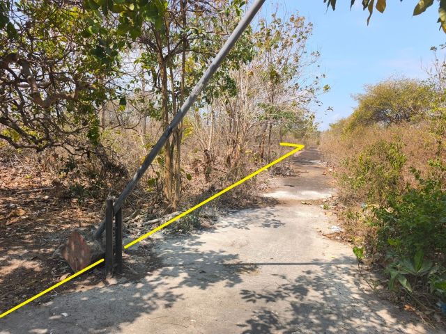 Exclusive 60-Are Freehold Land Near Balangan Beach, Bali - Image 16