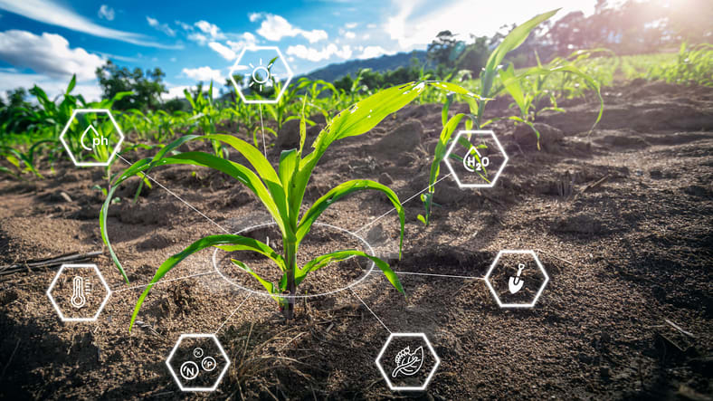 L'intelligence artificielle au service des agriculteurs