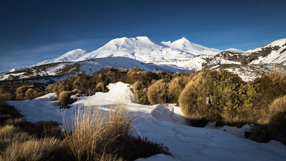 Hobbit land - New Zealand