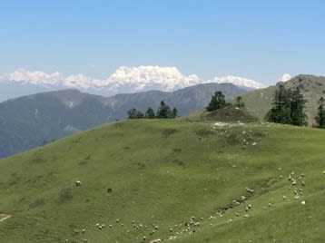 Bedni Bugyal Roopkund trek in Uttarakhand