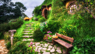 Hobbit land - New Zealand