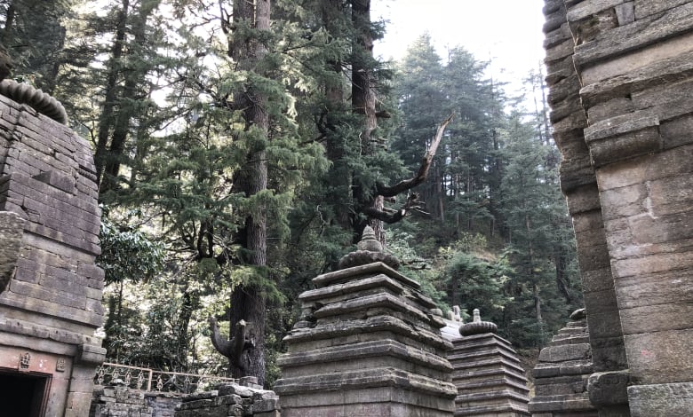 Jageshwar in Binsar in Uttarakhand