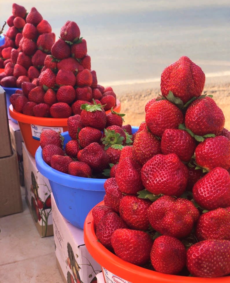 Mahabaleshwar Travel Guide - Strawberry