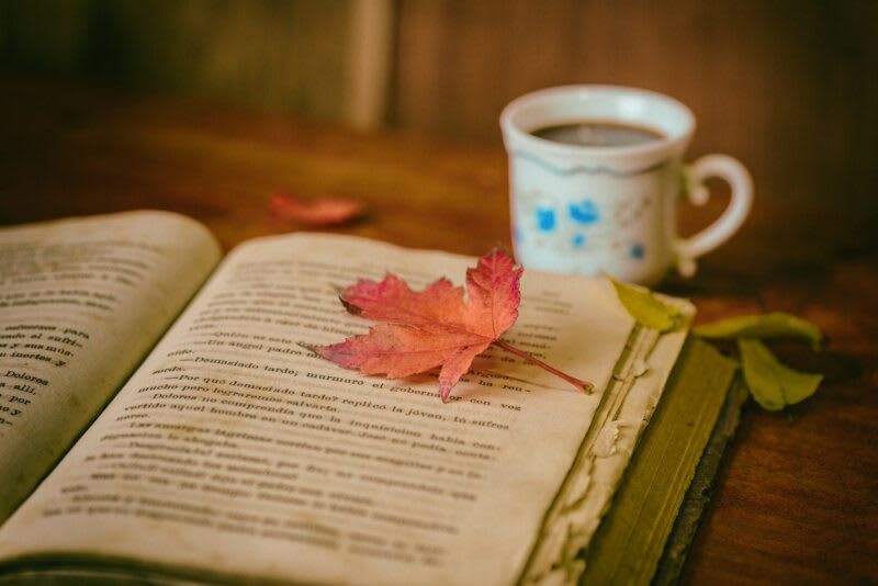 5 cozy books to Curl Up With on a Rainy Day