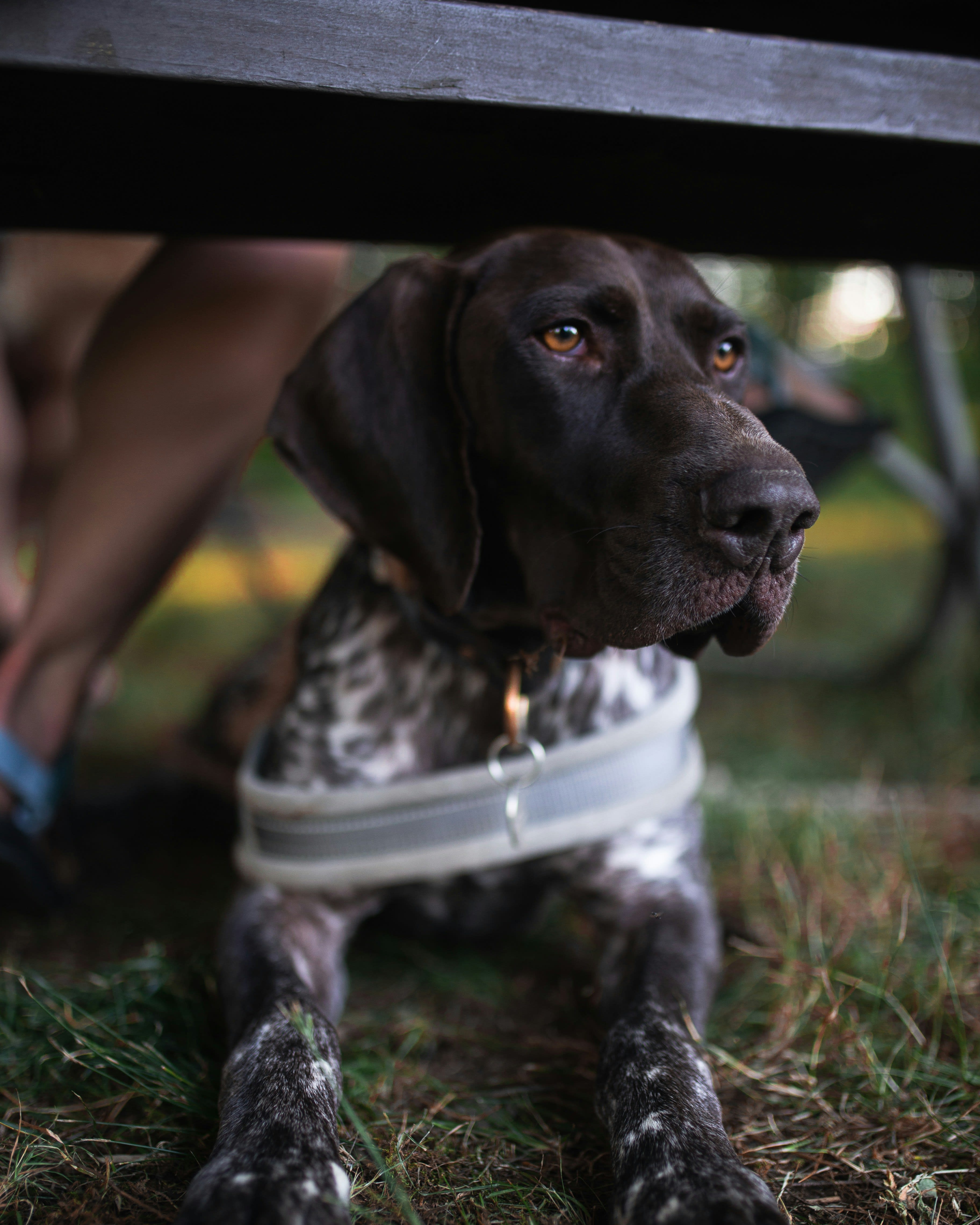 Pointer 3