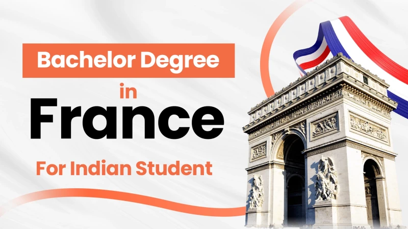 Bachelors In France