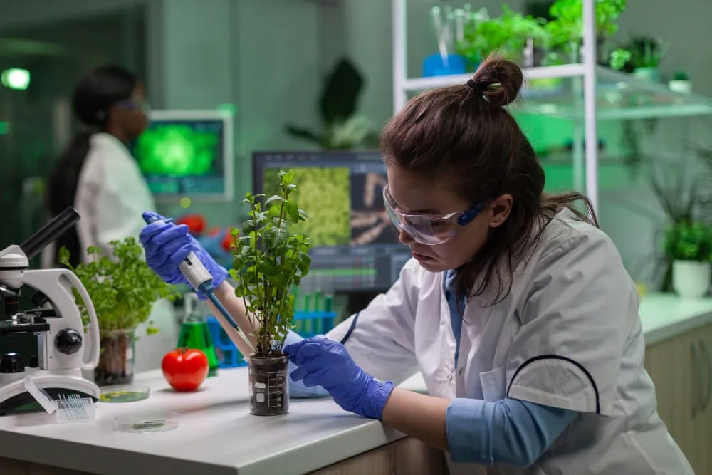 <p>Biotechnology</p>