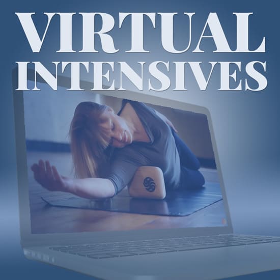 Virtual-Intensives