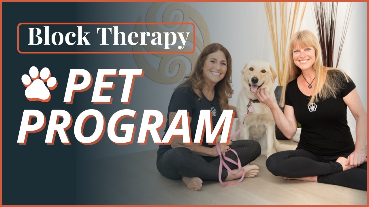 Pet Program - Block Therapy