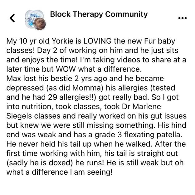 Pet Testimonial Website