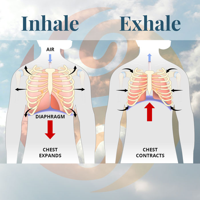 Breathing-infographic-sq