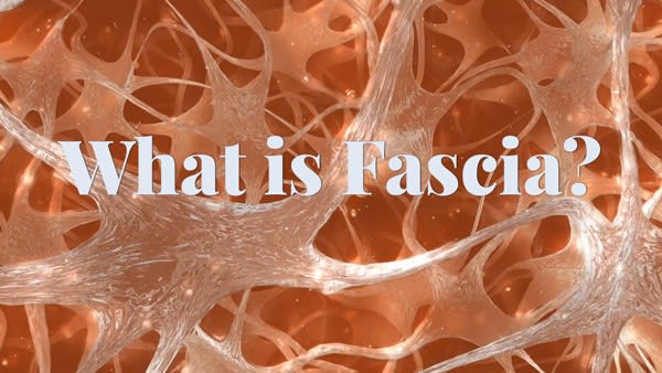 What-is-Fascia