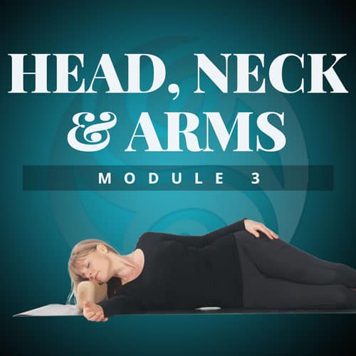 Head,-Neck-&-Arms-Module