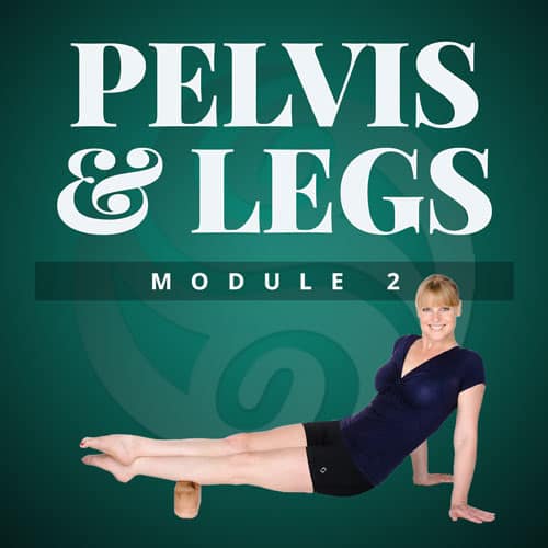 Pelvis-&-Legs-Module