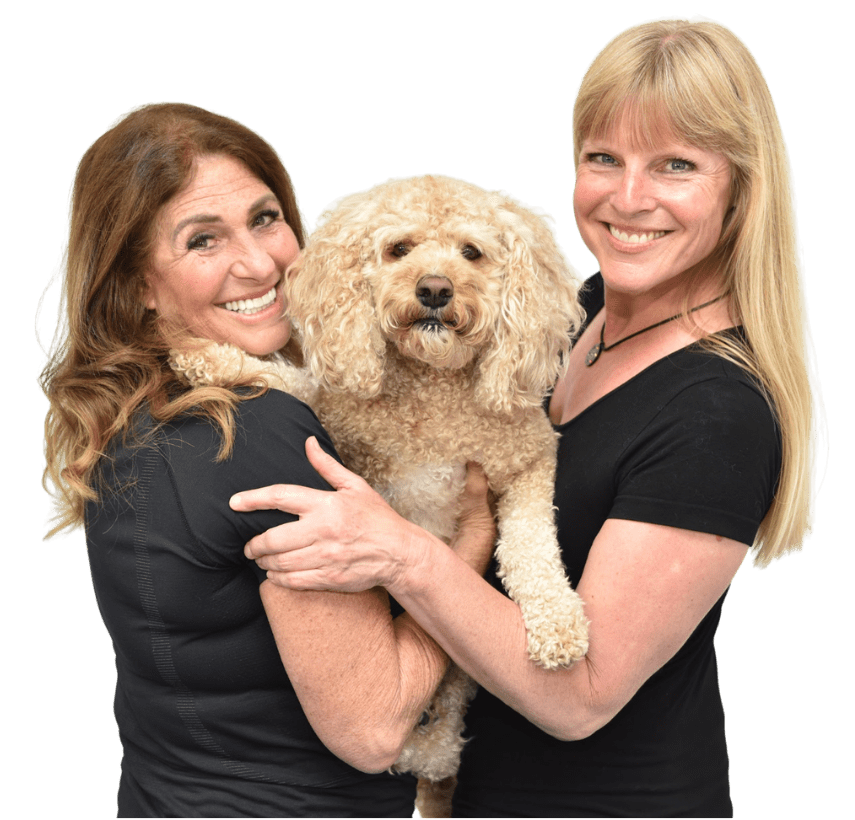 Pet Workshop Cutout
