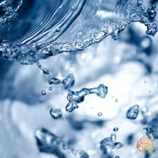 fluid