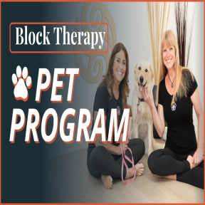 Block Therapy Pet Program