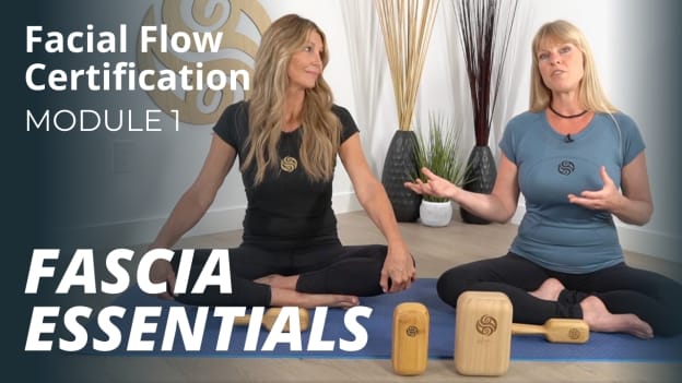 Facial Flow Module 1