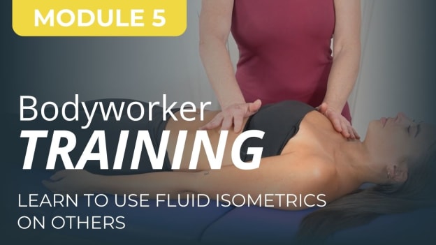 BTA Bodyworker Mod 5