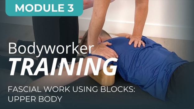 BTA Bodyworker Mod 3