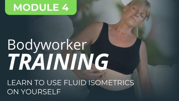 BTA Bodyworker Mod 4