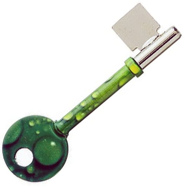 Green Bubbles Design Mortice Key Suitable For Yale B447 Mortice Locks