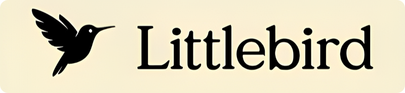 Littlebird AI